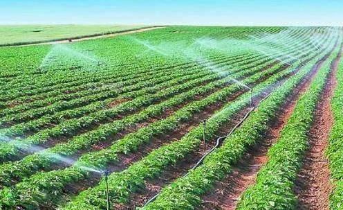 免费看插逼逼农田高 效节水灌溉